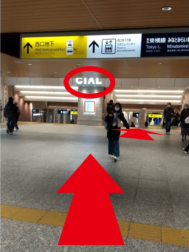 頭上の「CIAL」の看板を目印に直進